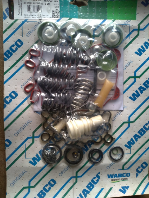 Reparo V�lvula protetora APS  original P124 G124 R124  9325109652.